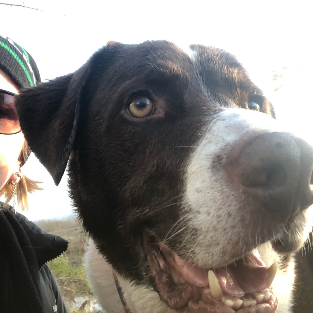 Meet your Posher, Kathi